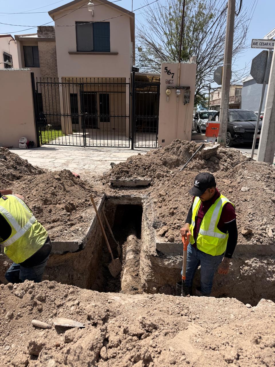 Imagen de la obra